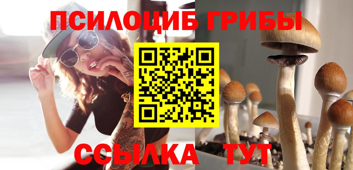 Псилоцибиновые грибы MAGIC MUSHROOMS Чехов